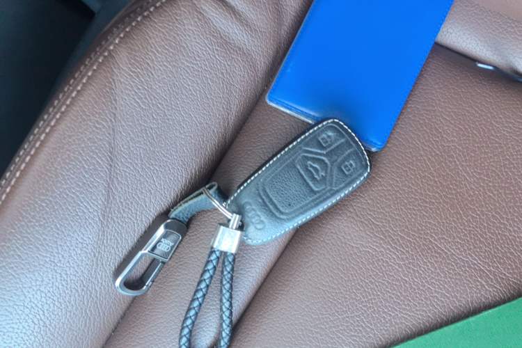 Used Audi Q7 New Energy 2019 55 e-tron
