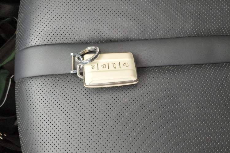 Used Tank 300 2024 2.0T Conqueror
