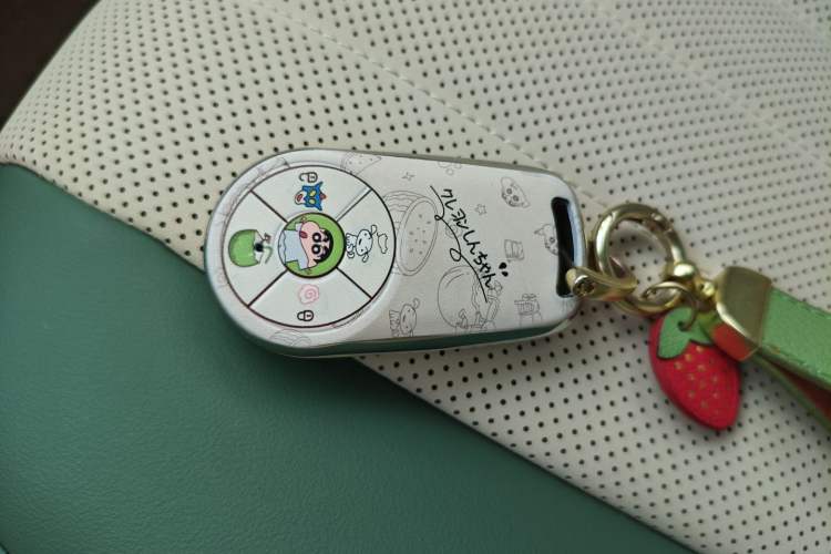 Used ORA Good Cat 2024 401 km Range Luxury Version 135 kW