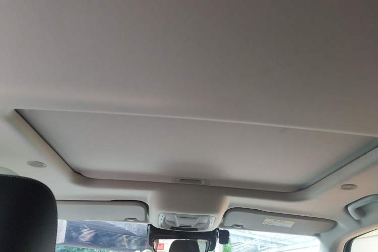 Used Tank 300 2021 City Edition 2.0T—Truly Stylish Headliner