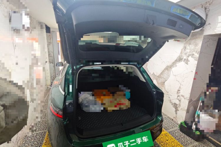 Used VOYAH FREE 2024 Ultra-Long Range Intelligent Driving Version
