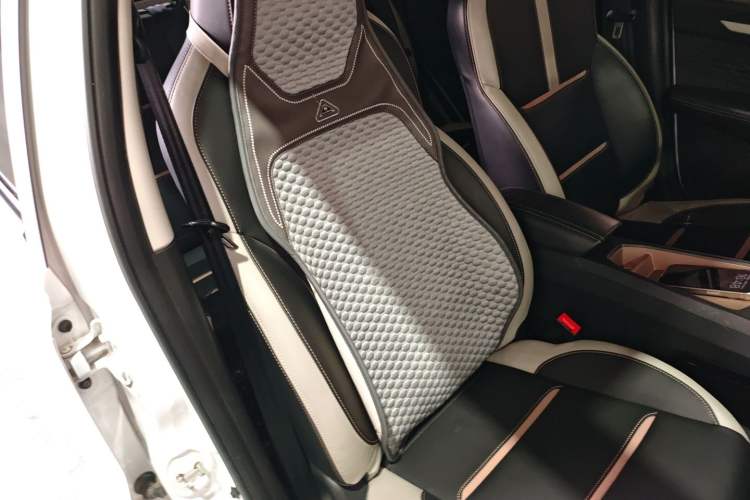 Used SOL E10X 2022 Flower Fairy Style Baby's Breath