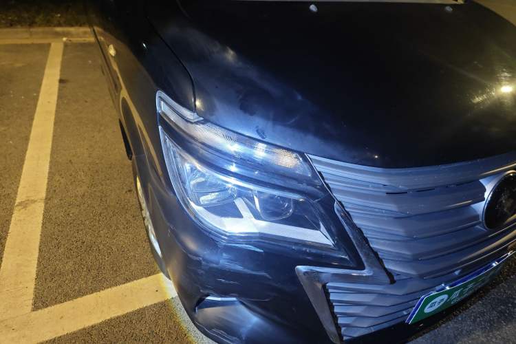 Used FORTHING Lingzhi 2023 M5L 1.6L Base Model 7 Seats