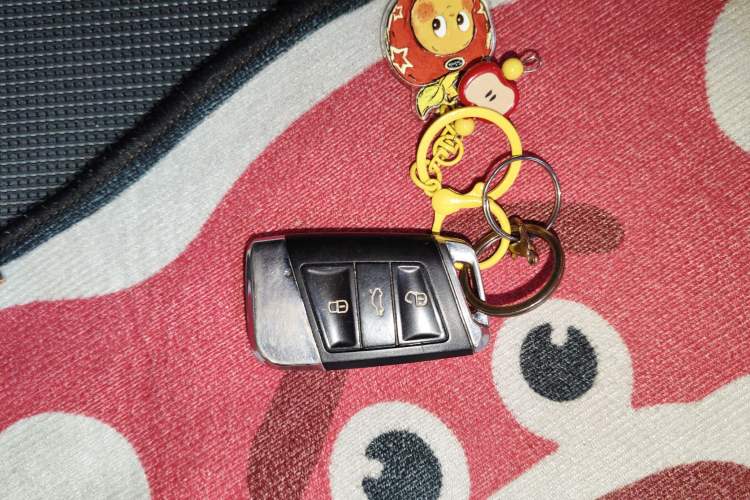 Used Volkswagen Golf Pure Electric 2020 Chari
