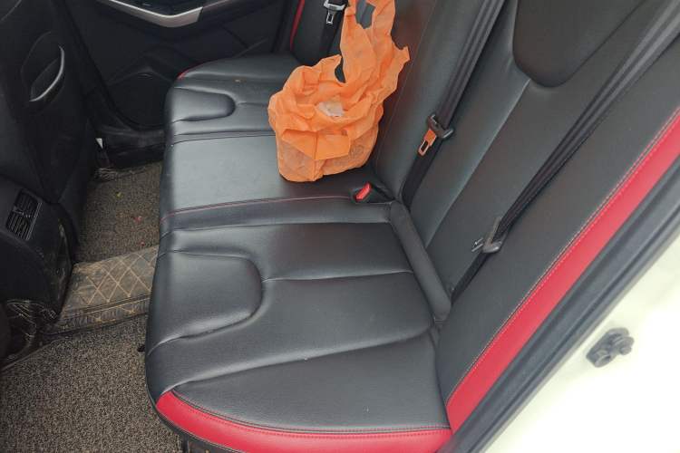 Used Venucia D60 2019 100 000 Honor 1.6L XL CVT Chenku Edition China V Standard Left Rear Seat