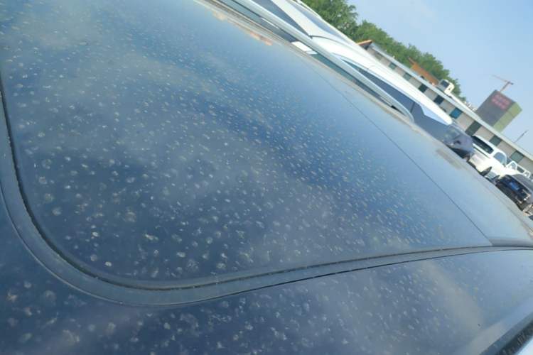 Used Volkswagen Teramont 2017 380TSI Four-Wheel Drive Luxury Edition
