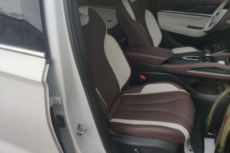 Used Geely Auto Monjaro L 2024 2.0TD High-Power Automatic Two-Wheel Drive Yunqi Version Right Front Seat