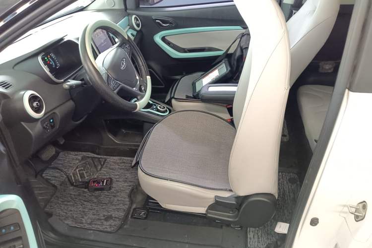 Used Chery Little Ant 2021 200 000 Yuan "Ant Fan" Edition Energized Version NMC Lithium Battery 301 km