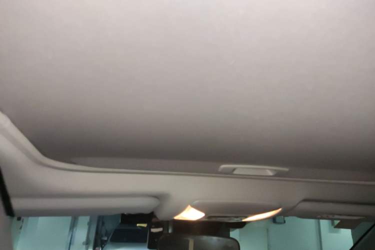 Used Toyota RAV4 2020 2.0L CVT 4x4 Trend Edition Headliner