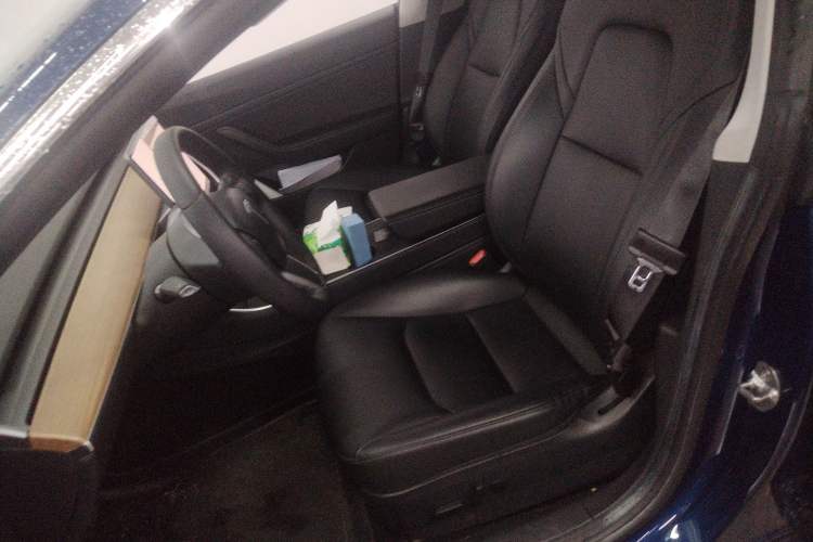 Used Tesla Model 3 2020 Standard Range Rear-Wheel Drive Upgraded Version Left Front Seat