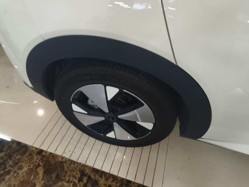 Used BYD Dolphin 2023 420 km Fashion Edition — 25