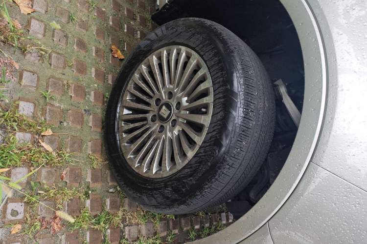 Used Tank 500 New Energy 2024 Hi4-T
