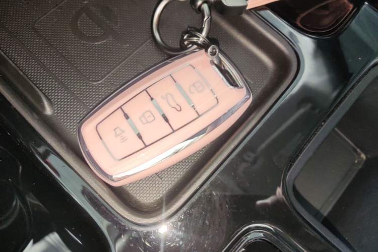 Used Haval DARGO 2022 2.0T DCT Two-Wheel Drive Huazhong Hound Edition Vehicle Key