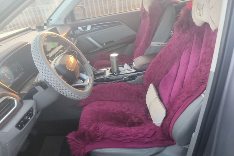 Used Baojun RS-5 2019 1.5T CVT Intelligent Driving Flagship Version China VI Emission Standard Left Front Seat