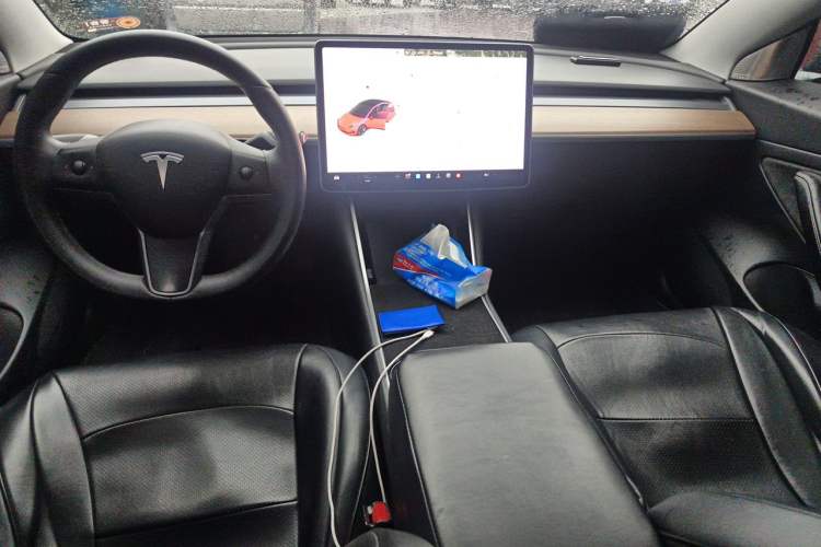 Used Tesla Model 3 2019 Standard Range Rear-Drive Upgraded Version