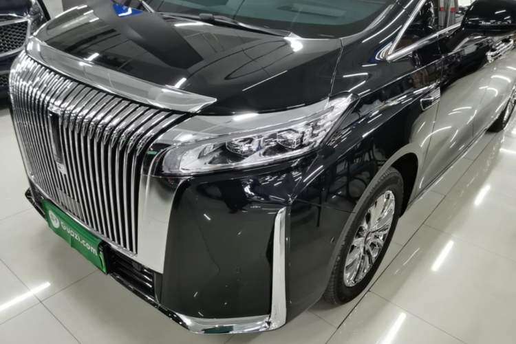 Used Wey Gaoshan 2025 Four-Wheel Drive Alpine 8 Left Front Headlight