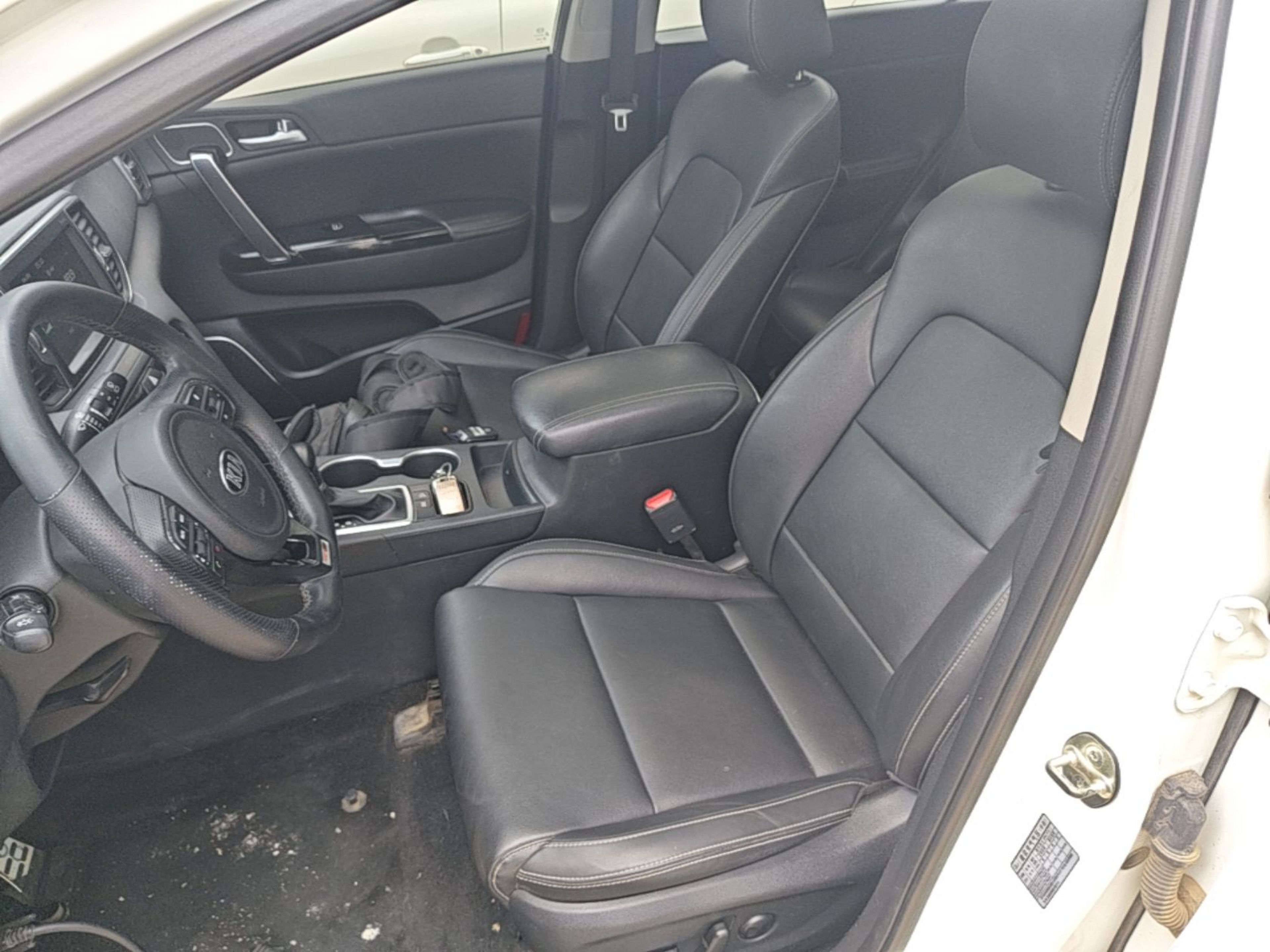 Interior delantero