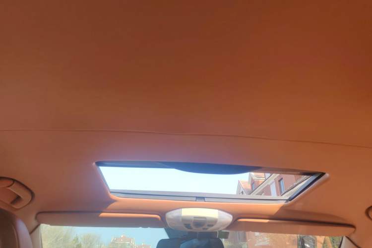 Used Mercedes-Benz Viano 2011 2.5L Limited Edition Headliner