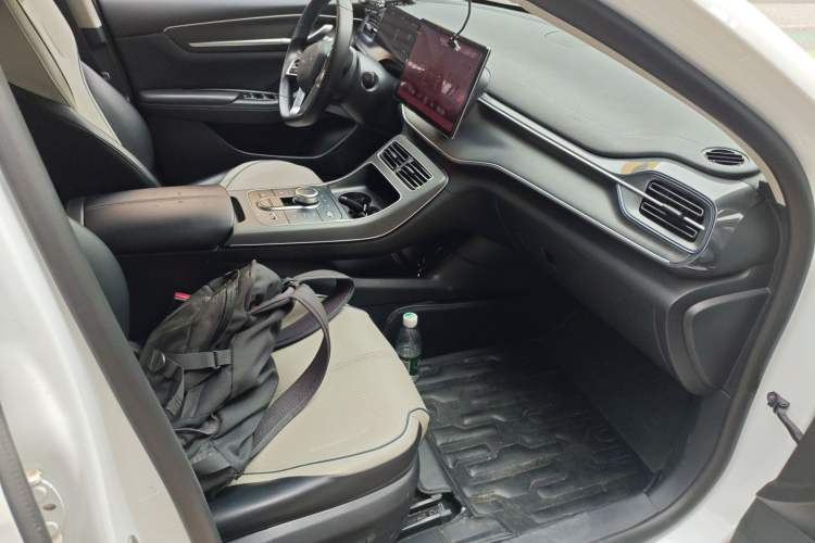 Used BYD Destroyer 05 2023 Champion Edition DM-i 55KM Luxury Model Right Front Seat