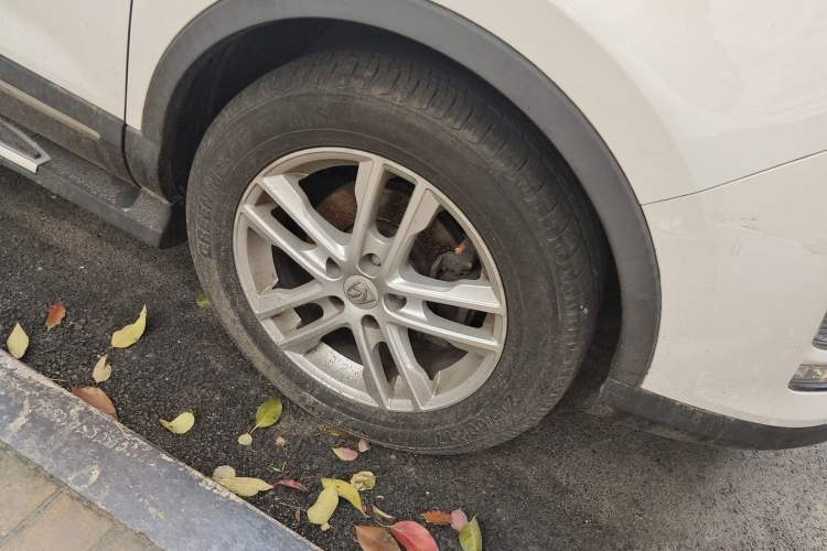 Used Baojun 560 2015 1.8L Manual Elite Edition Exterior 1