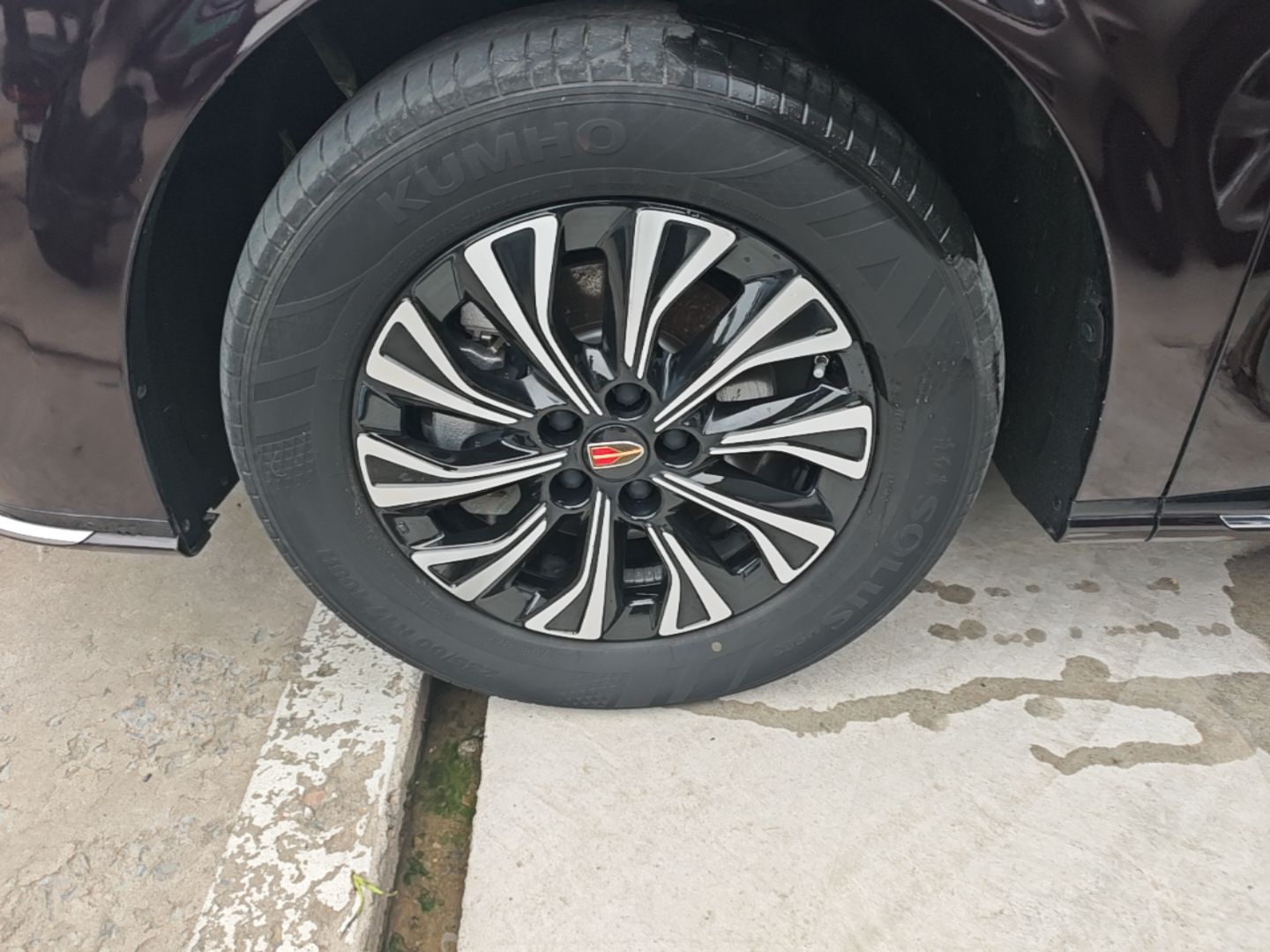 Hongqi HQ9 PHEV 2024 2.0T Four-Wheel Drive Business Edition — снимка 10