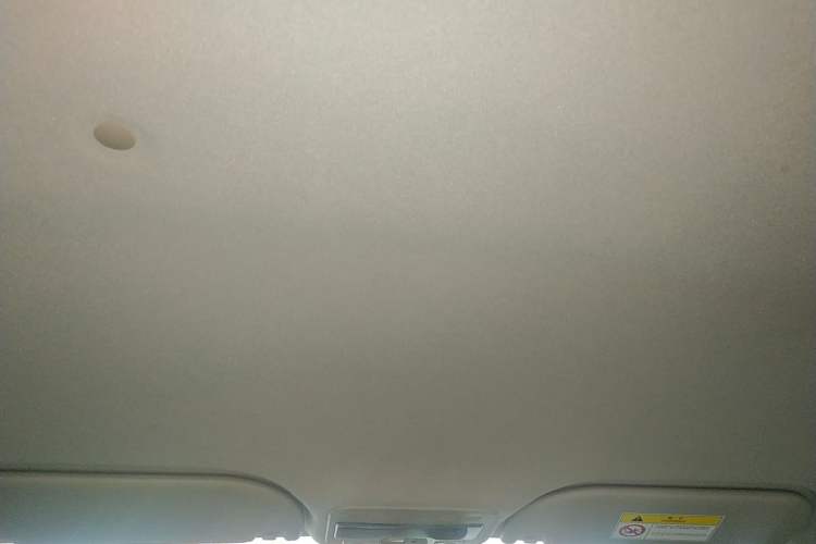 Used SOL E10X 2022 Flower Fairy Style Baby's Breath
