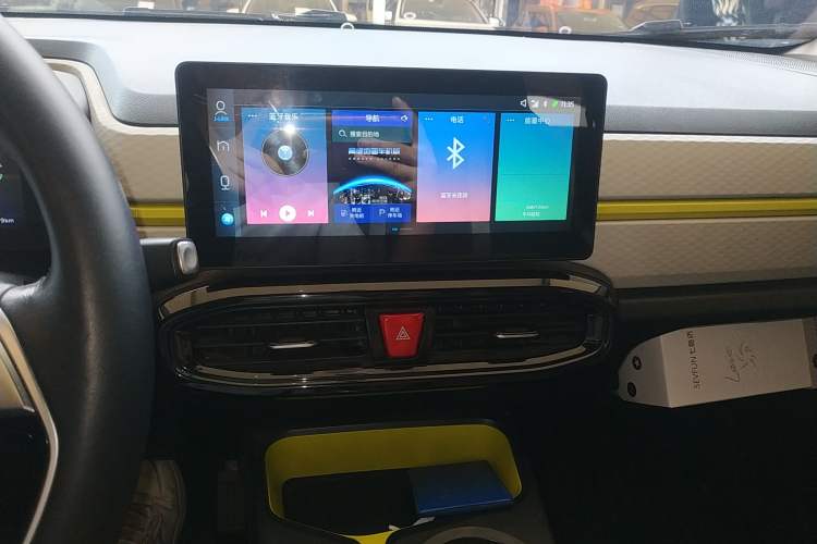 Used SOL E10X 2022 Flower Fairy Style Baby's Breath Audio And AC Panel