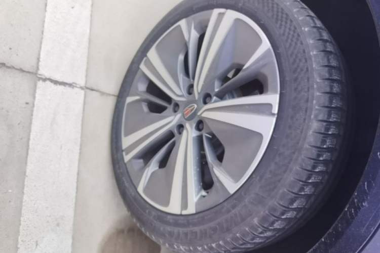 Used Hongqi E-HS9 2021 510 km Range Flagway Edition Six Seats Right Rear Wheel Hub