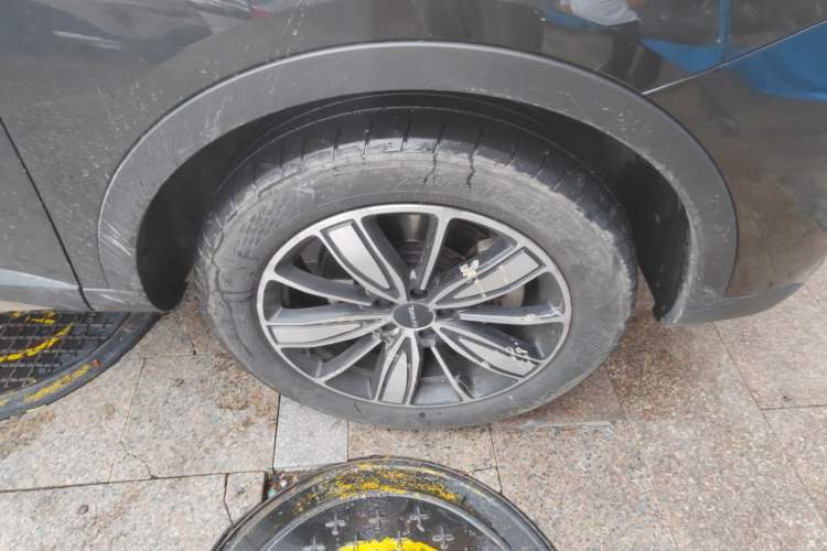 Used Haval H6 2023 National Trend Edition 1.5T Automatic Champion Version Exterior 7