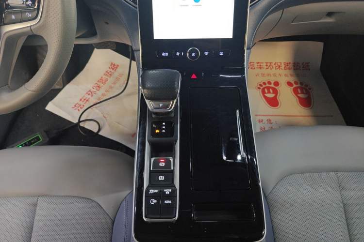 Used Rising ER6 2021 New Dynamic Edition 520km Smart Leading Version