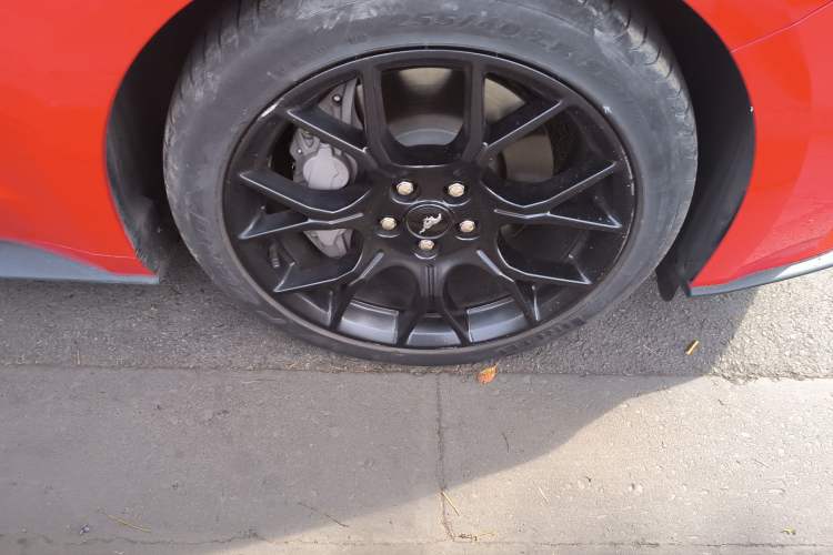 Used Ford Mustang 2019 2.3L EcoBoost Performance Enhanced Edition