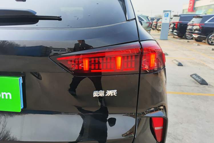 Used Wey Mocha 2021 2.0T Four-Wheel Drive Premium Edition
