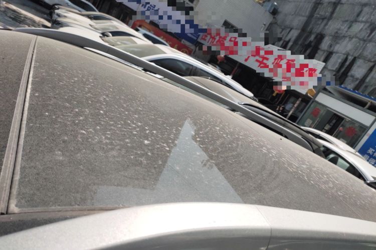 Used Kia Sportage R 2019 2.0L Automatic Smart Luxury Edition Roof