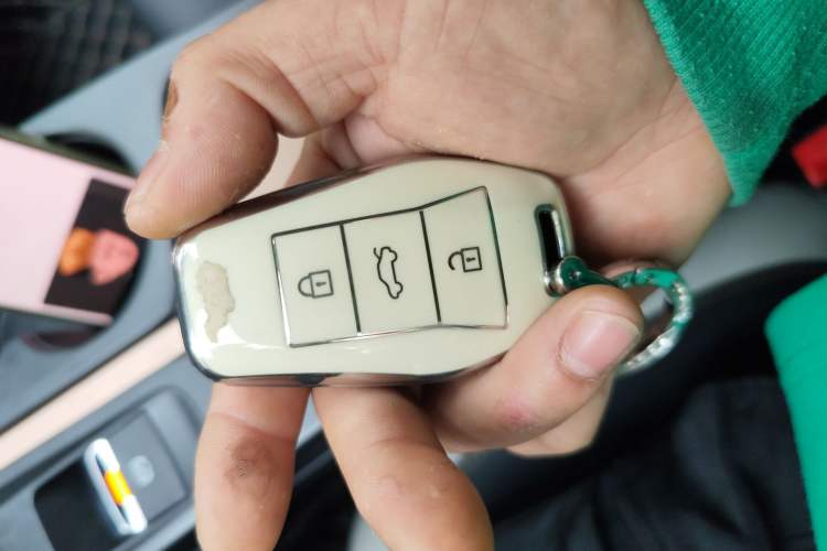 Used SOL E10X 2022 Flower Fairy Design Four-Leaf Clover