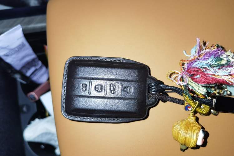 Used Tank 500 New Energy 2024 Hi4-T
