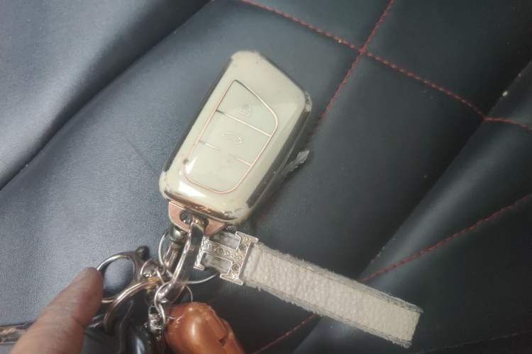 Used Chery Little Ant 2022 Sweet Pink Edition Half-Sugar Version Lithium Iron Phosphate 30 kW 301 km
