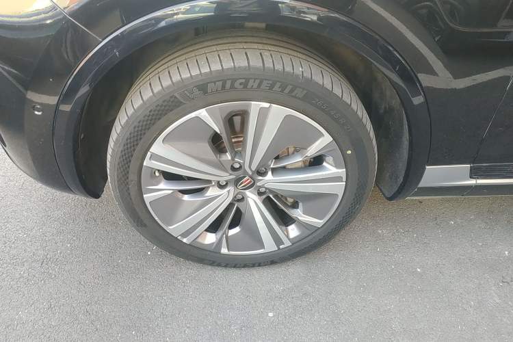 Used Hongqi E-HS9 2021 460 km Range Flagship Edition Six-Seater
