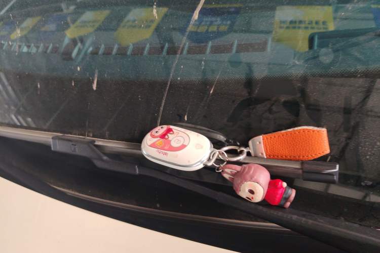 Used Geely Galaxy Geome 2025 310km Dream Edition Vehicle Key