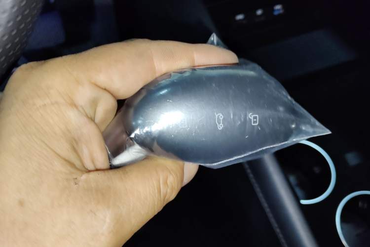 Used Rising R7 2022 Standard Advanced Version
