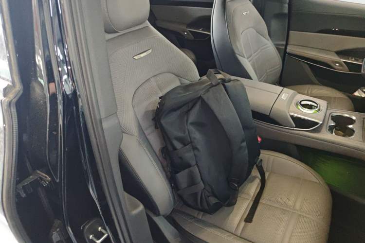 Used Hongqi Tiangong 08 2025 680 Ultra Four-Wheel-Drive Version Right Front Seat