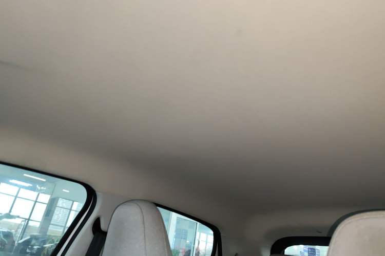 Used Leapmotor T03 2022 Agate Edition Headliner