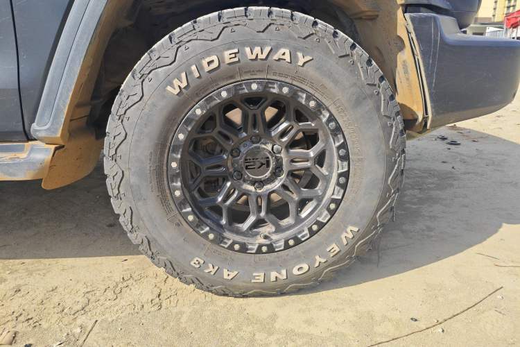 Used Tank 300 2023 Off-Road Edition 2.0T Conqueror
