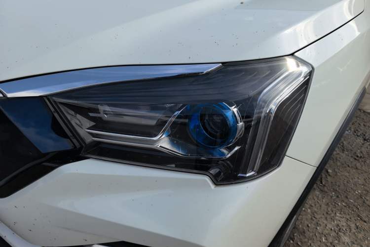 Used Venucia T60EV 2020 AI Enjoyment Model
