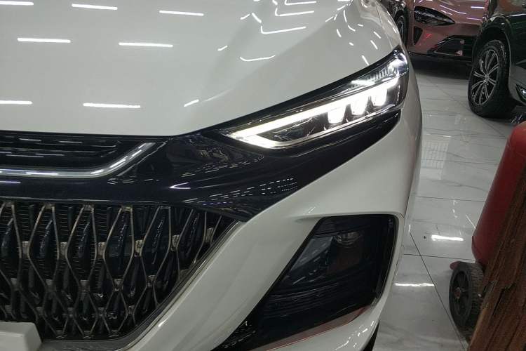 Used Oshan X7 PLUS 2022 1.5T Blue Whale Edition Automatic Prestige Version