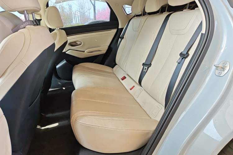 Used BYD Qin L 2024 DM-i 80KM Leading Model Left Rear Seat