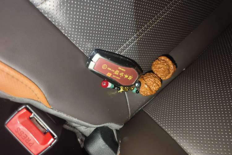 Used BYD e2 2021 Luxury Model
