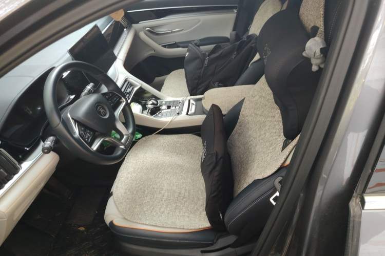 Used BYD Song PLUS New Energy 2021 DM-i 51KM Prestige Model Left Front Seat