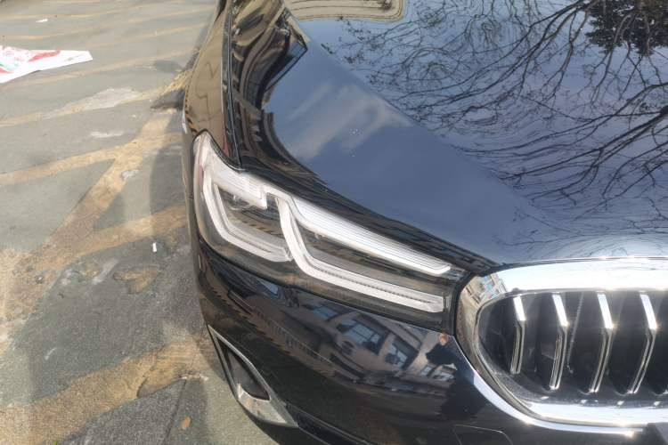 Used BMW 5 Series 2021 525Li Luxury Package