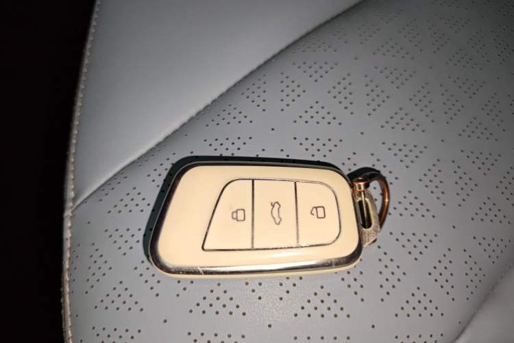 Used Chery QQ Little Ant 2022 Sweet Pink Edition Half-Sugar Version Lithium Iron Phosphate 30 kW 301 km Vehicle Key