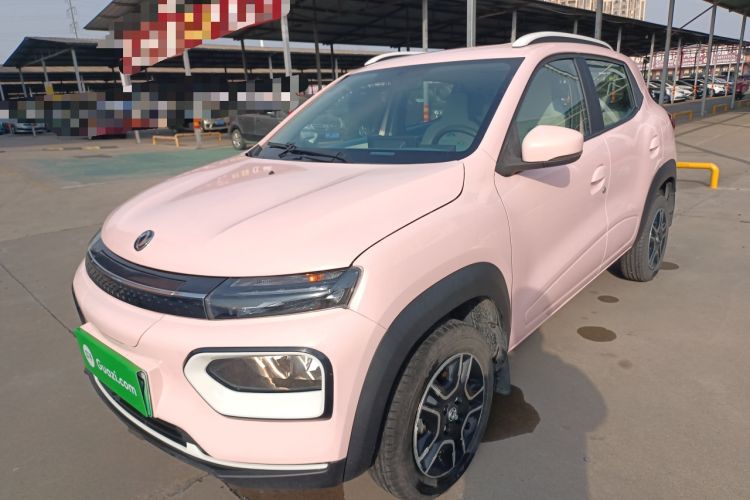 Used Dongfeng NAMMI EX1 2023 PRO Light Wind Edition Lightning Model